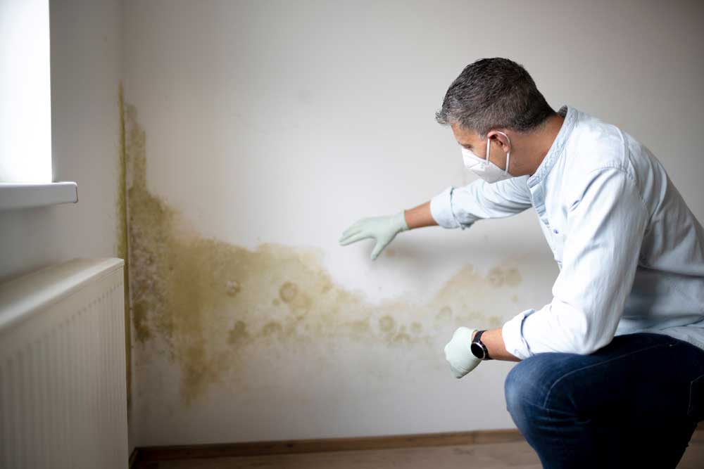 DAMP & MOULD ACTION & AWARENESS WEEK